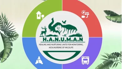 Hanuman Project Andhra Pradesh wildlife rescue and monitoring system