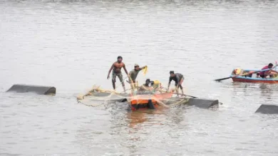 annual fish production in India fisheries growth