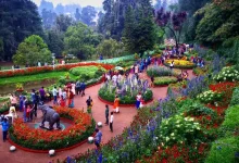 Tourist rush builds up in Nilgiris as Ooty flower show preparations gather pace