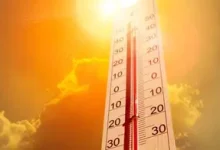 Heat wave in Andhra Pradesh as Chityala records 48.3 degrees Celsius