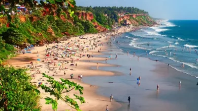 Blue sea.. towering cliffs.. plan a trip to Varkala.