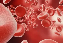రక్తహీనత తగ్గించడానికి ఆహారం ఐరన్ ఫుడ్స్