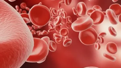 రక్తహీనత తగ్గించడానికి ఆహారం ఐరన్ ఫుడ్స్