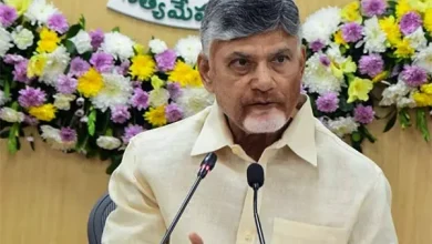 Chandrababu Naidu on Operation Sindoor anniversary