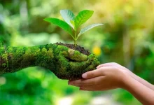 Sustainable Development Through Biodiversity Conservation and ecosystem protection