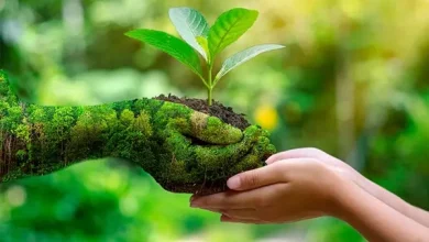 Sustainable Development Through Biodiversity Conservation and ecosystem protection