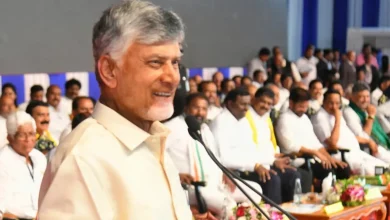 Andhra CM Chandrababu Naidu calls for interlinking Godavari, Cauvery rivers