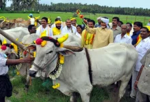 Chandrababu Naidu urges farmers to overcome El Nino challenges during the Kharif farming season