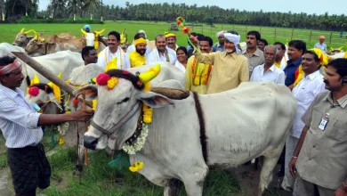 Chandrababu Naidu urges farmers to overcome El Nino challenges during the Kharif farming season