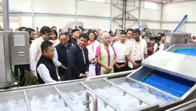 FM Sitharaman inaugurates northeast's largest organic spice processing unit