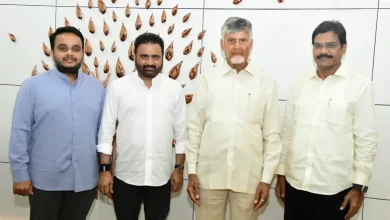 NDA candidates elected to Rajya Sabha seats from Andhra Pradesh
