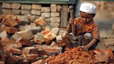 Telangana CM calls upon everyone to work for eradication of child labour