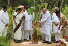 Amit Shah inaugurates Delhi 70 lakh tree plantation drive to expand the capital's green cover.