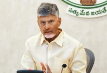 Andhra Pradesh CM moots cluster of rare earth minerals