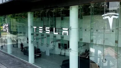 Tesla sells fewer than 500 cars in first year of India operations with Model Y sales