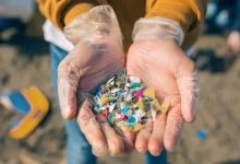 We're eating... we're drinking... we're inhaling plastic.