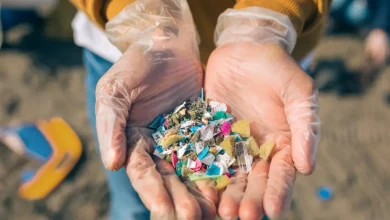 We're eating... we're drinking... we're inhaling plastic.
