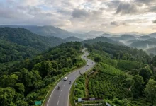 A Magical World Amidst the Clouds – Sakleshpur Tour