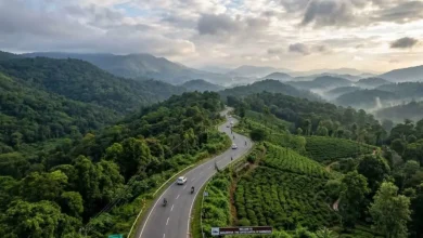 A Magical World Amidst the Clouds – Sakleshpur Tour