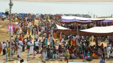Andhra Pradesh: 10 crore devotees expected at Godavari Pushkaram next year