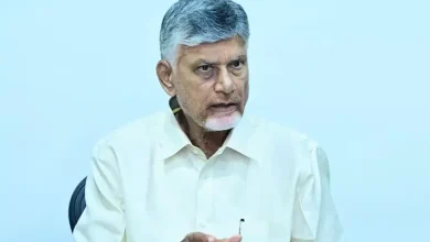 Andhra Pradesh El Niño crisis as CM Chandrababu Naidu reviews price rise, water and economic growth