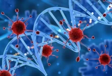 Are the increasing cancer cases caused by changes in lifestyle?
