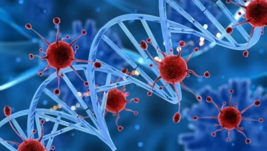 Are the increasing cancer cases caused by changes in lifestyle?