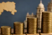 Domestic equity investments cross Rs 5 lakh crore as DII flows support Indian markets