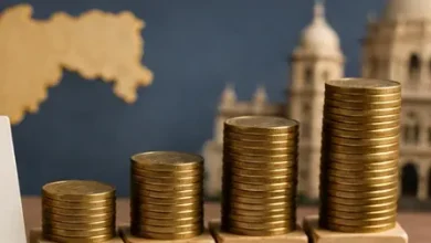 Domestic equity investments cross Rs 5 lakh crore as DII flows support Indian markets