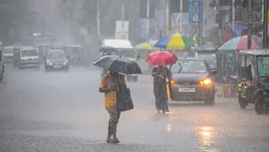 IMD issues thunderstorm and heavy rain alerts