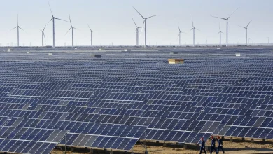 India Global South renewable energy cooperation through solar power and clean-energy partnerships