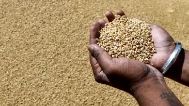 India wheat flour export policy changed for atta maida and semolina