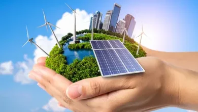 India’s non-fossil fuel power capacity crosses 300 GW mark