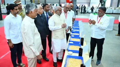Indigenous seed development India non-GMO popcorn maize hybrid launch