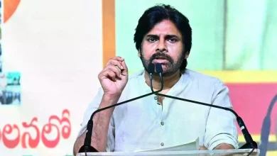 Pawan Kalyan Partition Horrors Remembrance Day message on unity and harmony