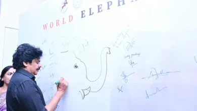 Kumki elephants Andhra Pradesh reduce human fatalities by 70 percent