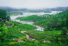 Tea plantations, Aliyar Dam, and the beauty of the Western Ghats seen during the Valparai trip.