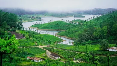 Tea plantations, Aliyar Dam, and the beauty of the Western Ghats seen during the Valparai trip.