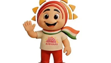 Aadhaar authentication infrastructure prepared for 300 million daily authentications