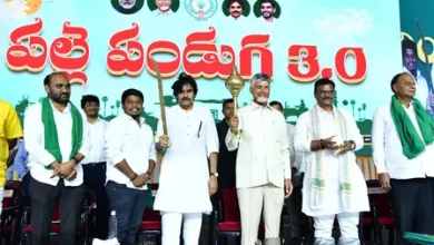 Andhra Pradesh CM Chandrababu Naidu addresses Palle Panduga 3.0 development programme in Nellore