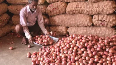 India retail inflation rises to 4.82 per cent in August