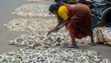 PM-MKSSY aquaculture insurance scheme supporting India’s blue economy