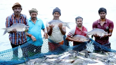 PMMSY scheme boosting India’s fisheries sector and fish production