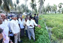 - Chandrababu Naidu conducts aerial survey of Cyclone Arnab affected areas in Andhra Pradesh.