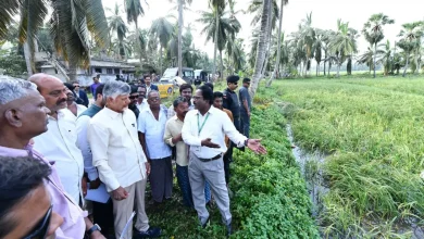 - Chandrababu Naidu conducts aerial survey of Cyclone Arnab affected areas in Andhra Pradesh.