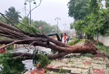 Cyclone Arnab landfall in Andhra Pradesh brings heavy rain and flooding to coastal districts.