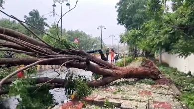 Cyclone Arnab landfall in Andhra Pradesh brings heavy rain and flooding to coastal districts.