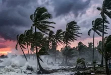 Cyclone Arnab approaches Andhra Pradesh as authorities evacuate vulnerable coastal areas and close beaches.