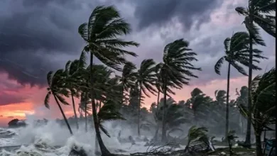 Cyclone Arnab approaches Andhra Pradesh as authorities evacuate vulnerable coastal areas and close beaches.