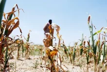 Telangana drought situation review as Chief Minister Revanth Reddy prepares to discuss relief measures with ministers.